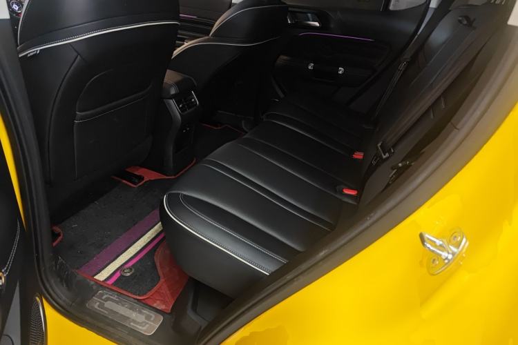 Used Tank 300 2022 2.0T Border Limited Edition
