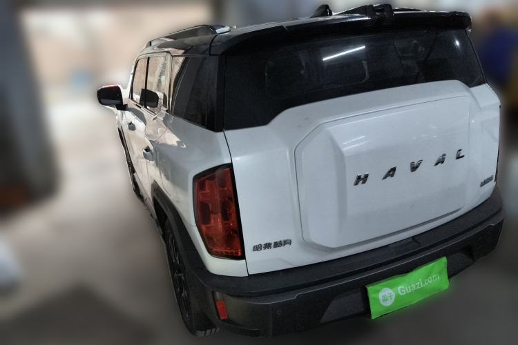 Used Haval X DOG 2022 1.5T DCT Four-Wheel Drive Trendy Wild Edition Rear Left 45 Deg