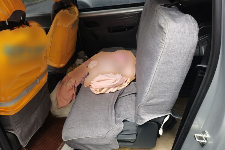 Used Wuling Hongguang New Energy 2024 All-Electric Model 300KM Practical Version Left Rear Seat