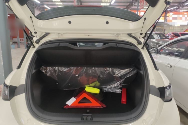 Used BYD Dolphin 2025 420km Free Edition