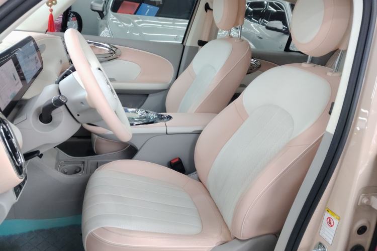 Used ORA Ballet Cat 2023 401 km Luxury Version