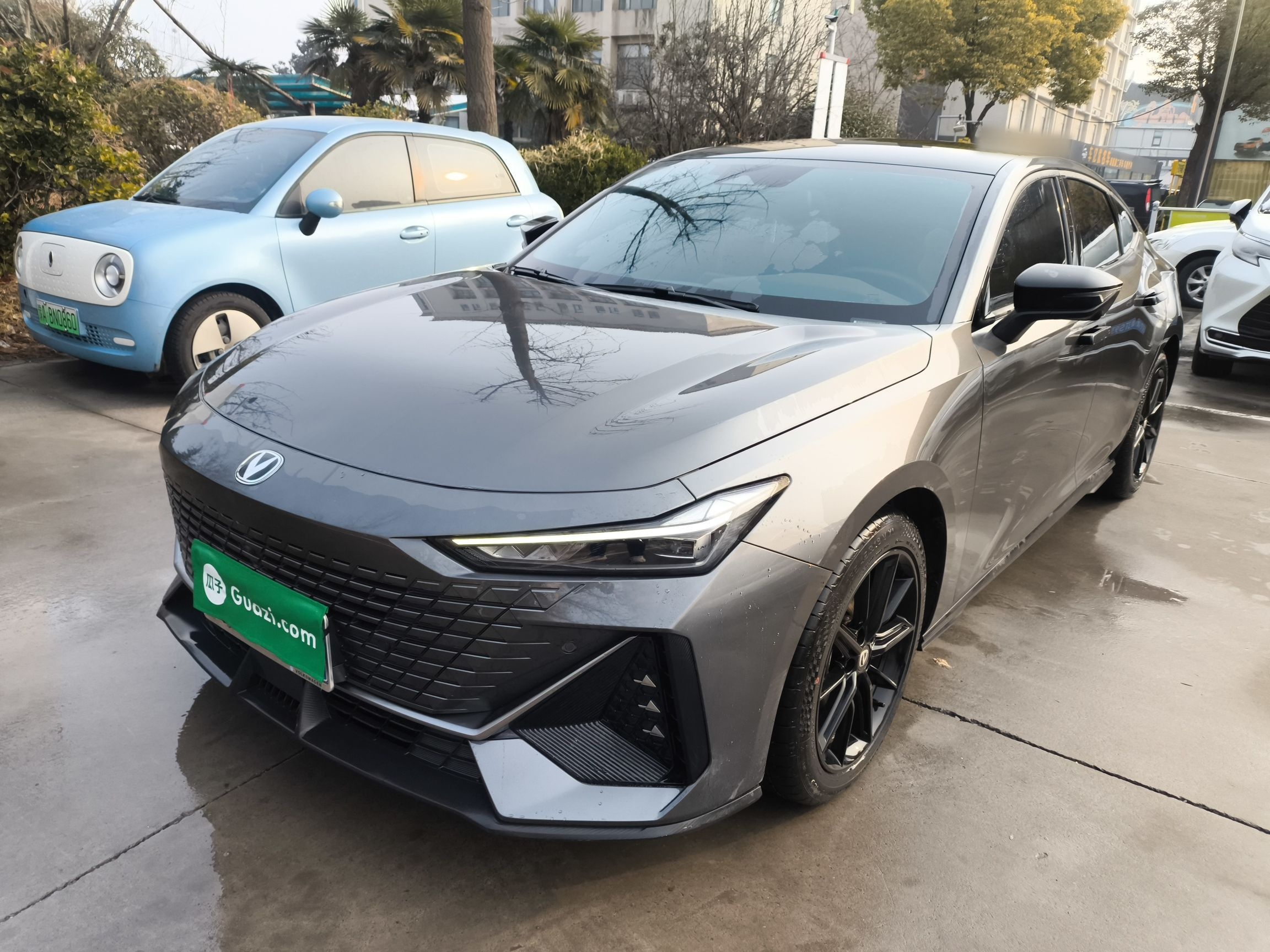 تحت مقدمة السيارة