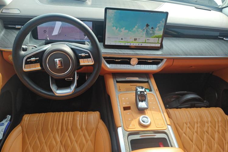 Used Tank 500 New Energy 2024 Hi4-T Center Console