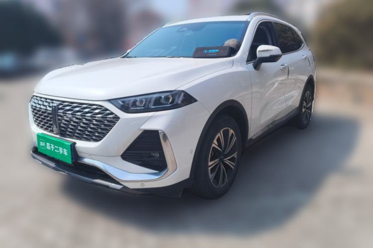 Used Wey Latte DHT 2022 1.5T DHT Big Cup