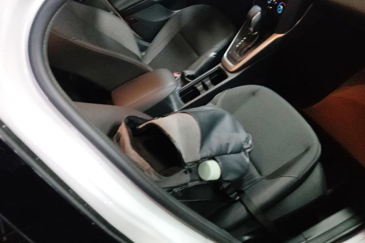 Used Ford Focus 2017 Hatchback 1.6L Automatic Comfort Plus SmartDrive Edition
