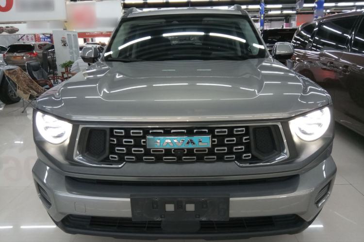 Used Haval H Dog New Energy 2023 DHT-PHEV 105km Tide Electric Version Plus