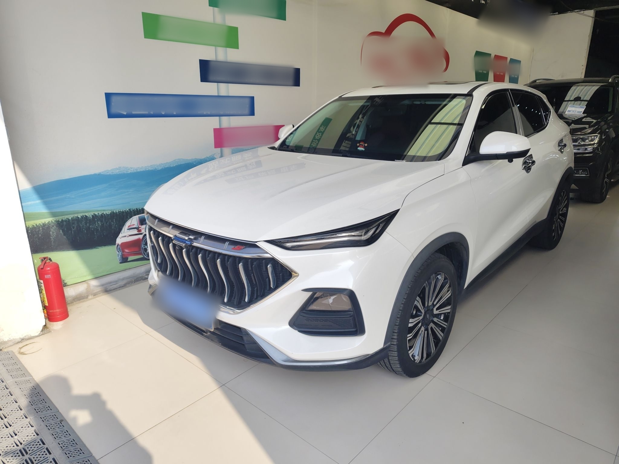 تحت مقدمة السيارة