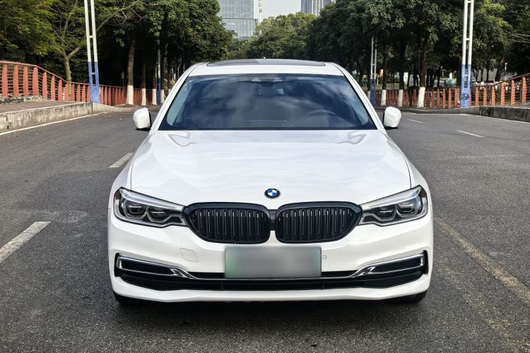 Used BMW 5 Series New Energy 2020 530Le Luxury Package