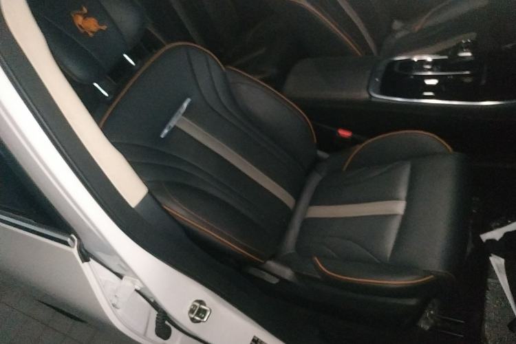 Used FORTHING Yacht 2022 1.5T DCT Chasing Wind Edition Right Front Seat