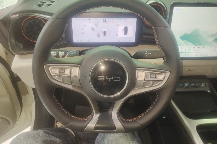 Used BYD Dolphin 2025 Smart Drive Version 420 km Freedom Edition Steering Wheel