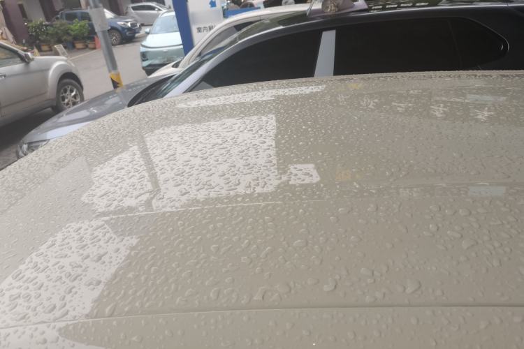 Used BYD Dolphin 2023 420 km Free Version Roof