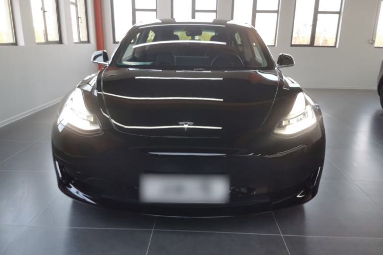 Used Tesla Model 3 2019 Standard Range Rear-Drive Upgraded Version