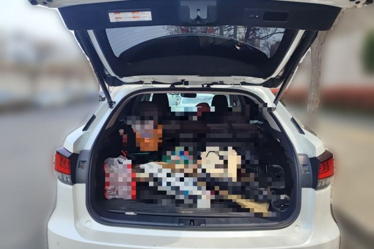 Used Lexus RX 2020 300 4x4 Elegant Edition China VI