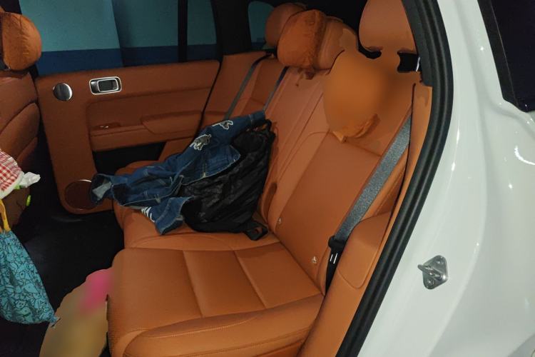 Used Li Auto L7 2024 MAX Model Left Rear Seat