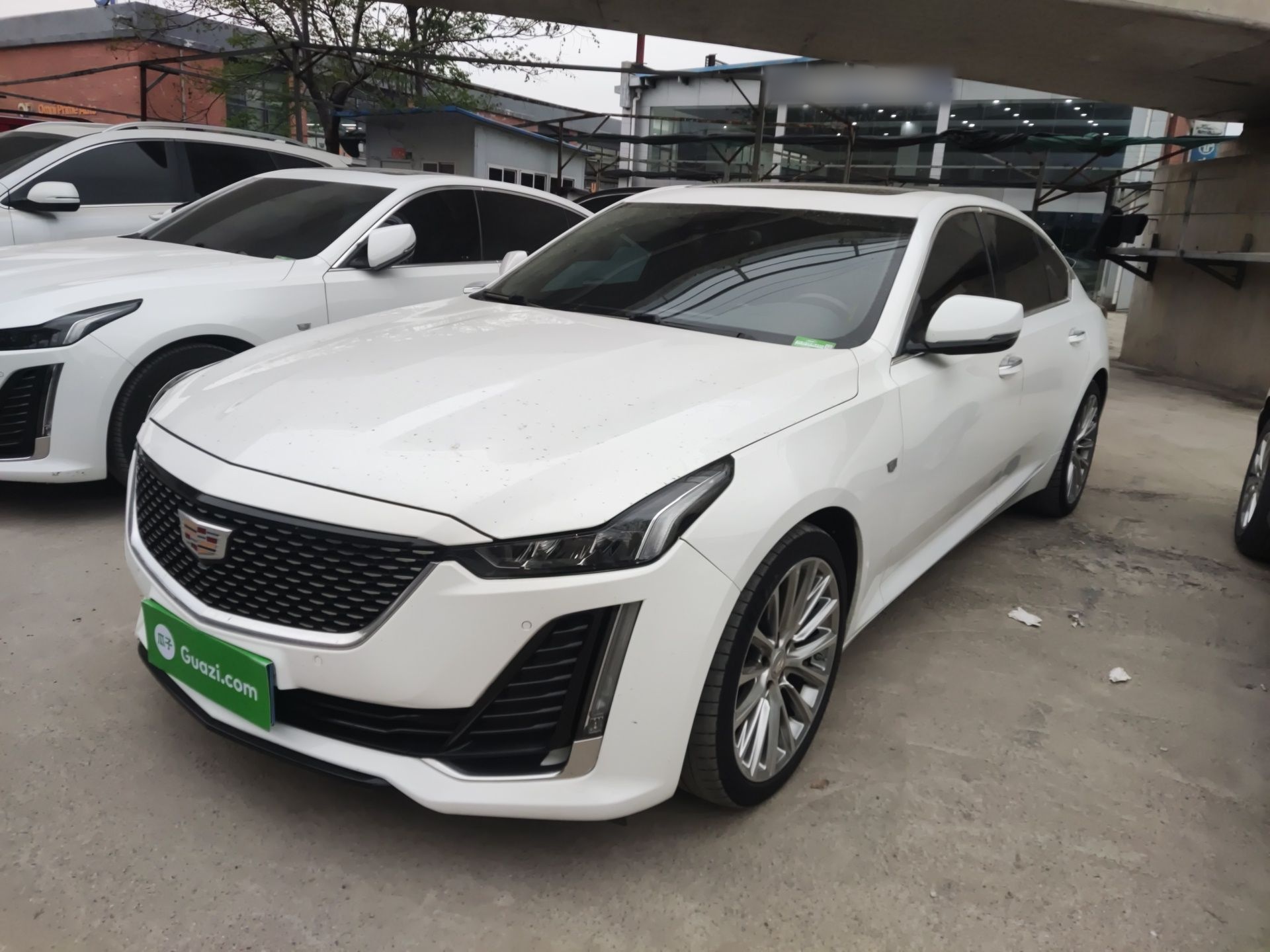 Parte inferior delantera