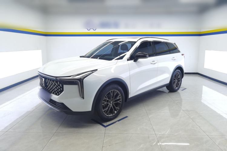 Used Bestune T55 2023 1.5T Automatic Leap Model