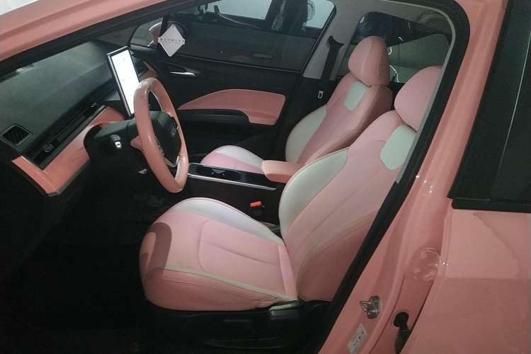 Used NETA V 2021 Witch Edition