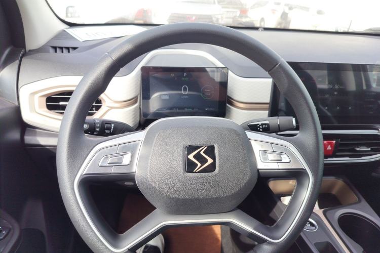 Used SOL E10X 2022 Flower Fairy Design Dandelion