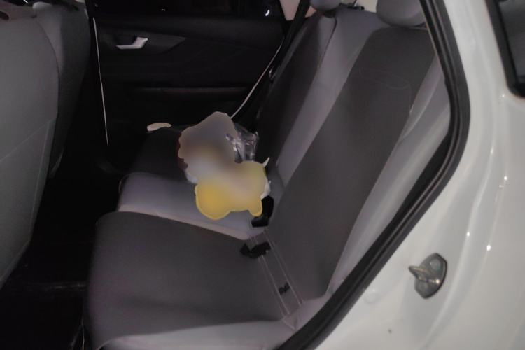 Used Electric House YOUNG Light XiaoXin 2023 408KM Pearl Edition