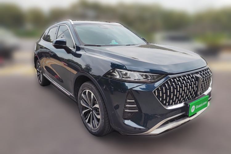 Used Wey Mocha 2021 2.0T Two-Wheel-Drive Ultra-Strong Version