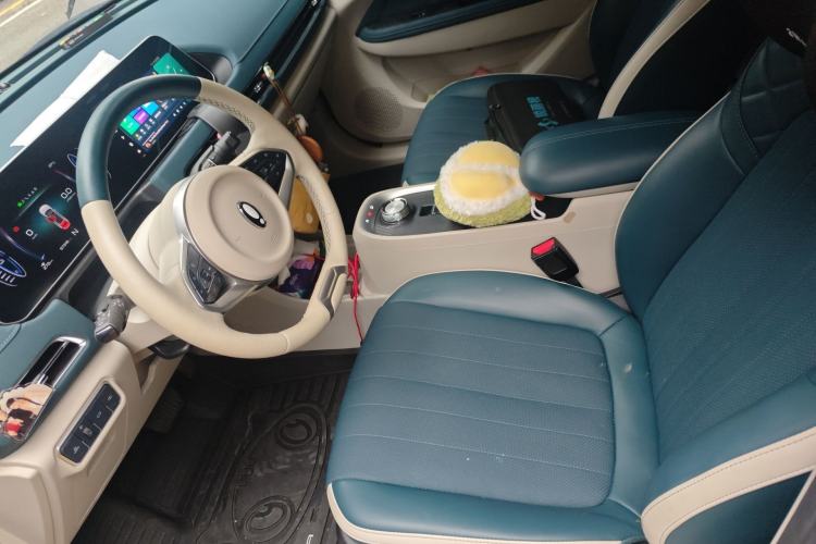 Used ORA Good Cat 2022 Morandi Edition 400km Standard Range Premium Version Lithium Iron Phosphate Left Front Seat