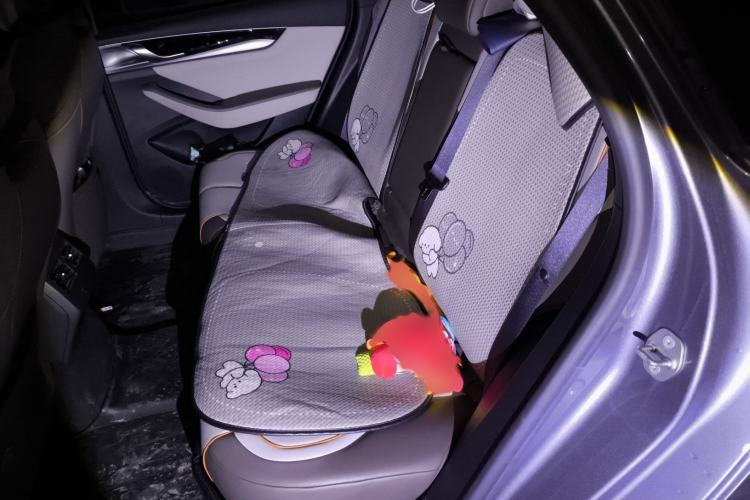 Used BYD Qin PLUS 2023 Champion Edition DM-i 55KM Superior Model