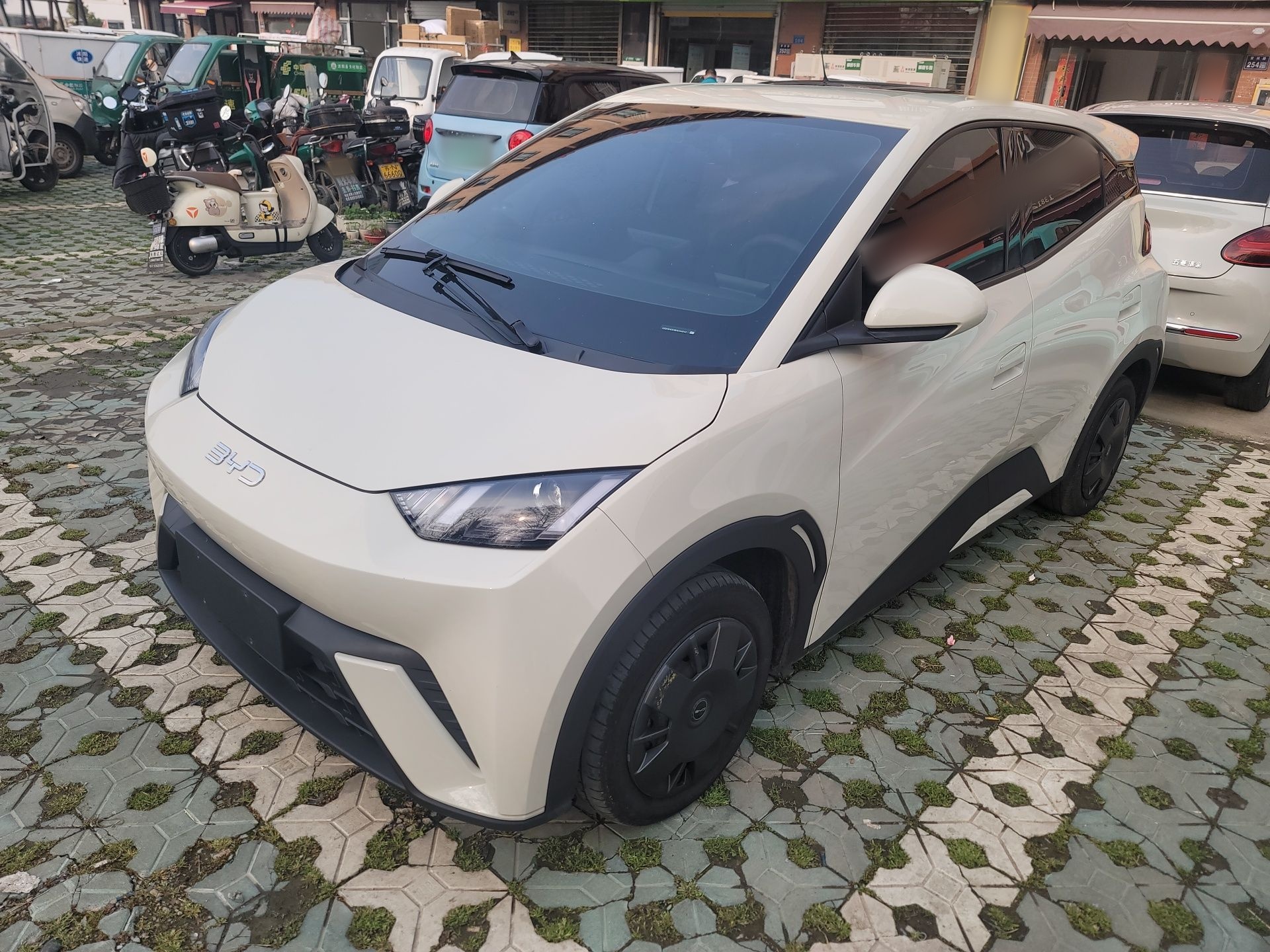 Parte inferior delantera