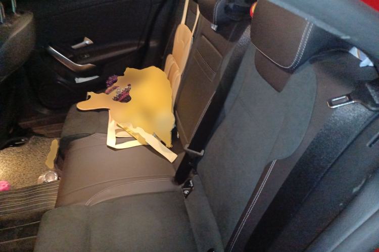 Used Mercedes-Benz A-Class 2022 Revised Version A 200 L Sport Sedan Fashionable Style Left Rear Seat