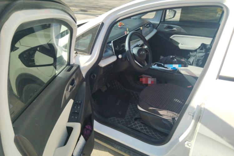 Used Geometry E Firefly 2024 401km Starlight