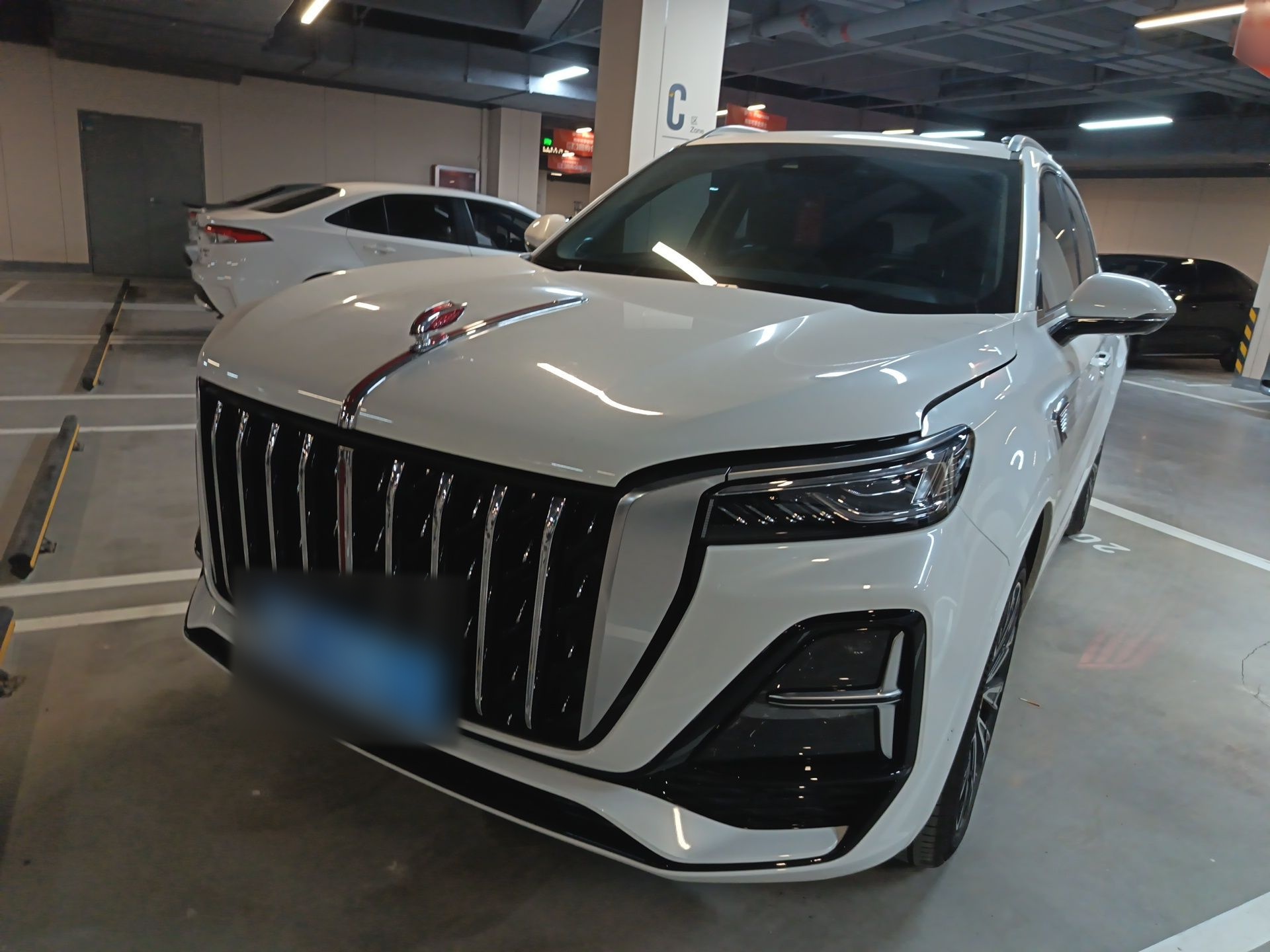 تحت مقدمة السيارة