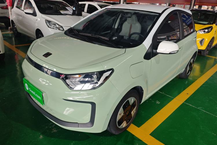 Used SOL E10X 2022 Flower Fairy Design Four-Leaf Clover