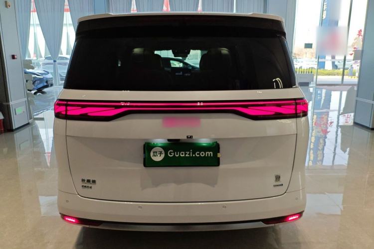 Used BYD Xia 2025 DM-i 1.5T 180km Excellence Model Rear