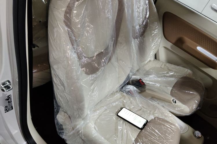 Used Wuling Hongguang MINIEV 2024 3rd Generation 215km Youth Edition Right Front Seat