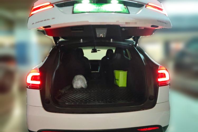 Used Tesla Model X 2017 X 100D Long Range Edition