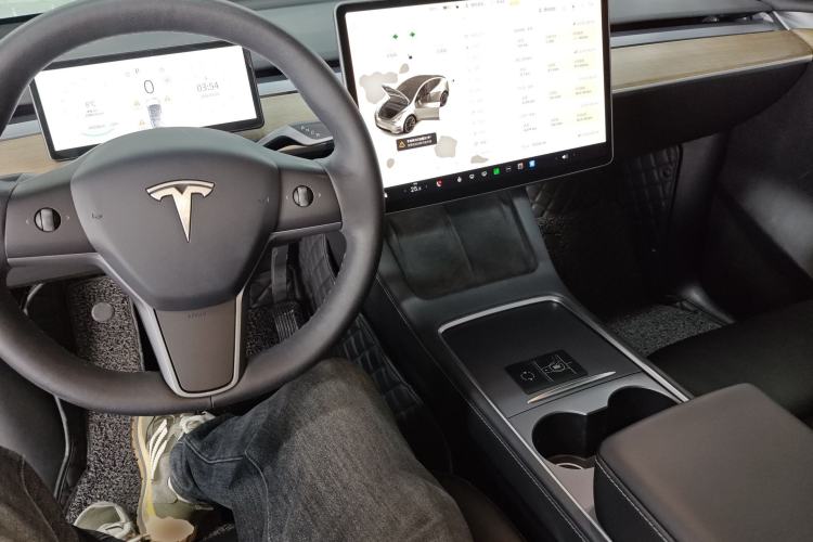 Used Tesla Model Y 2021 Standard Range Rear-Wheel Drive Version
