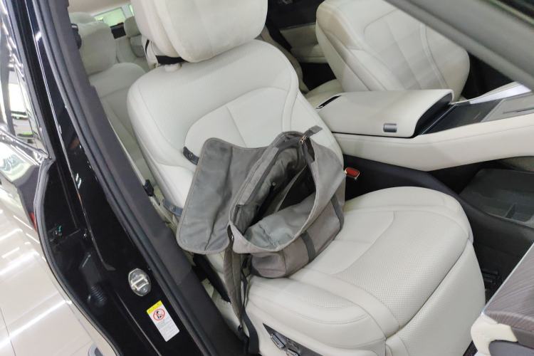 Used Denza N9 2025 Flagship Model Right Front Seat