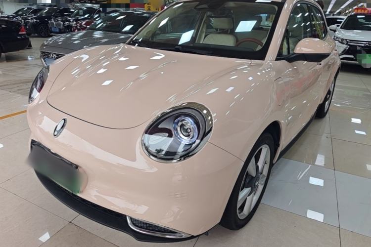 Used ORA Good Cat 2023 401 km Standard Range Luxury Version Ternary Lithium