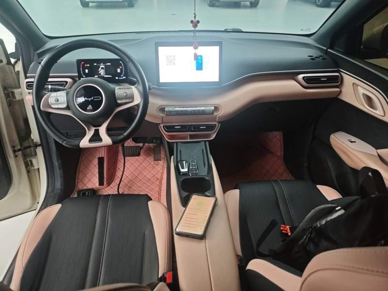 Used BYD Seagull 2023 Free Edition — 10