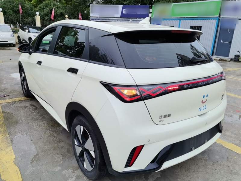 Used BYD Dolphin 2023 420 km Fashion Edition — 4