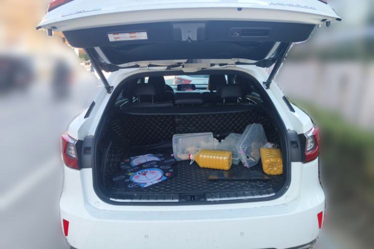 Used Lexus RX 2016 300 4x4 F SPORT Version China V Standard