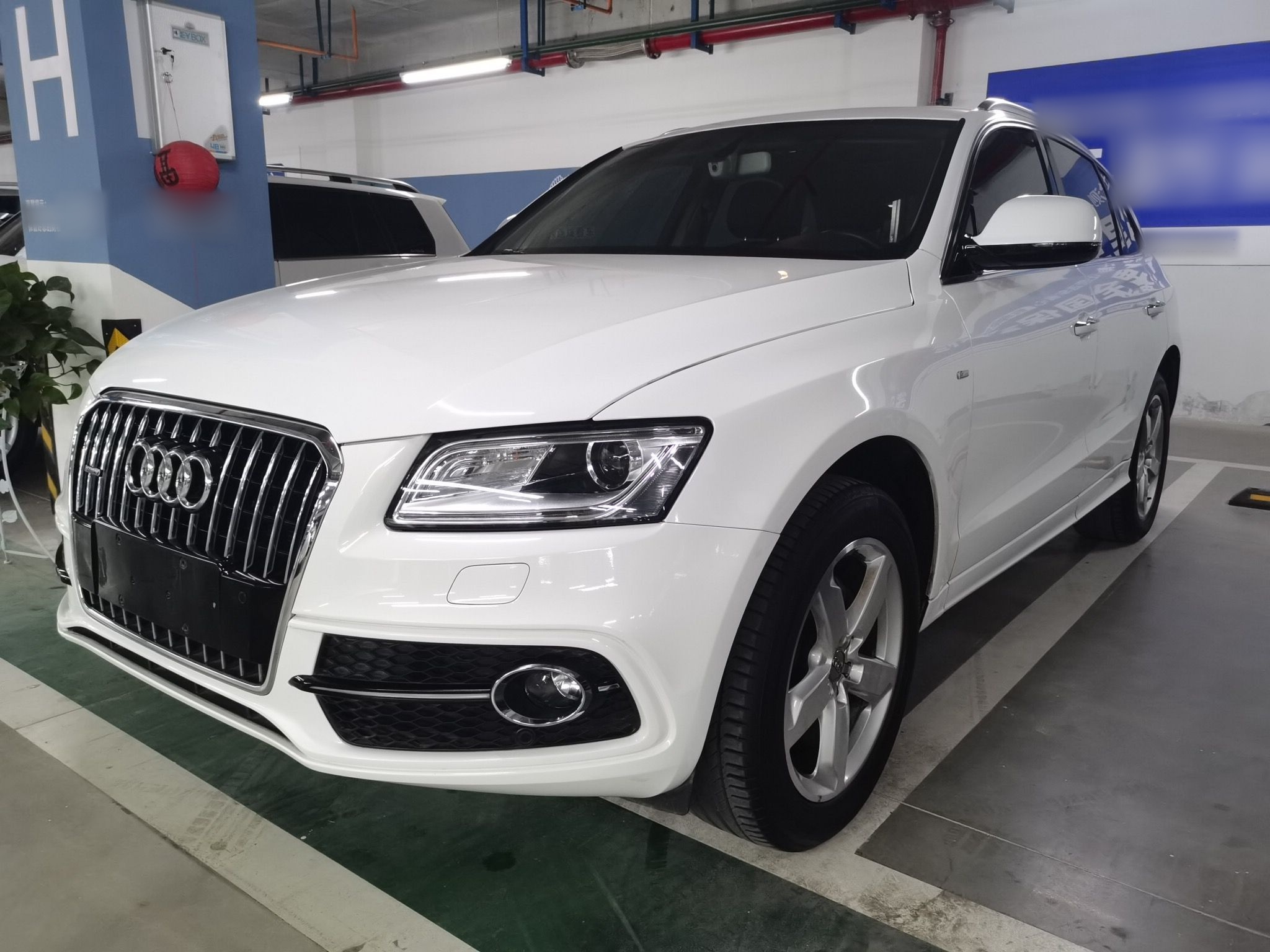 Parte inferior delantera