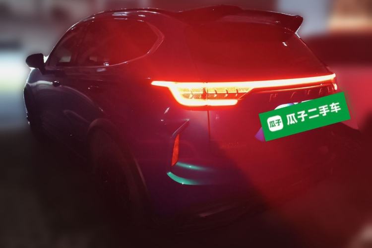 Used Haval LHERY 2021 High-Performance Version 1.5T Golden Rabbit Rear Left 45 Deg