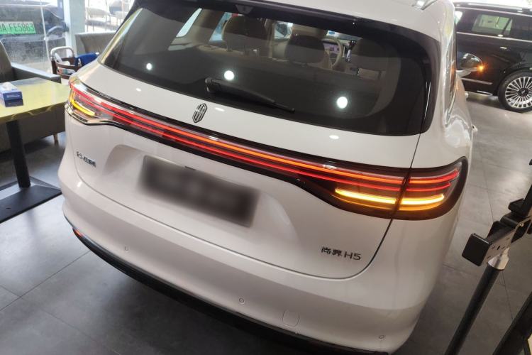 Used Hima H5 2025 Model Pure Electric Max