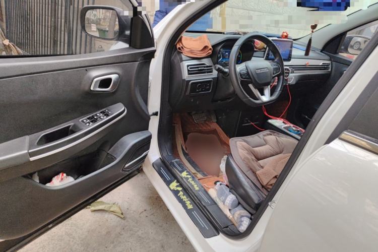 Used Dayun Yuehu 2021 32.85 kWh Two-Wheel-Drive Sprite Version Driver Seat