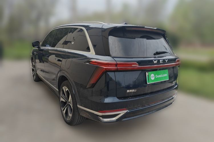 Used Wey Lanshan 2023 Four-Wheel Drive Ultra-Long Range Version Rear Left 45 Deg