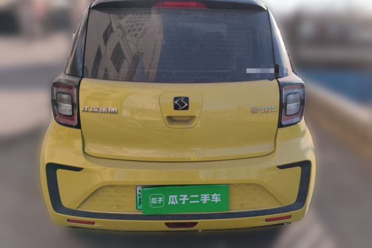 Used SOL E10X 2022 Flower Fairy Style Baby's Breath
