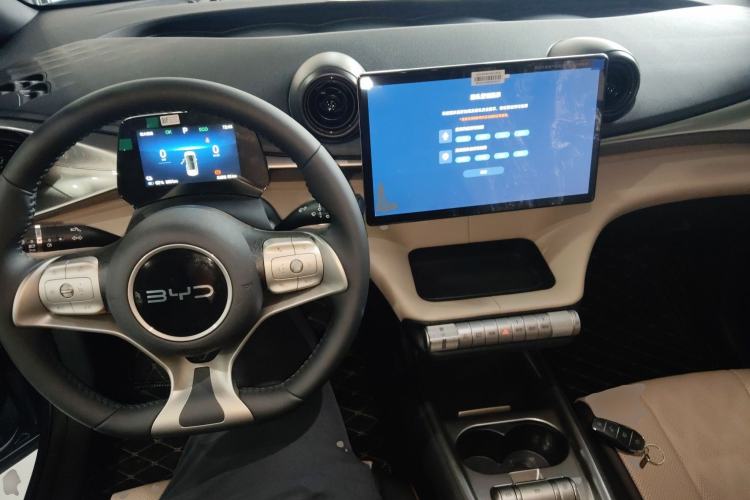 Used BYD Dolphin 2025 420km Free Edition
