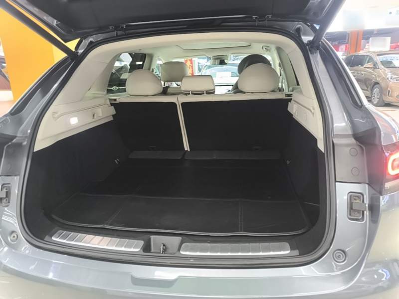 Used Leapmotor C11 2021 Luxury Edition — 18