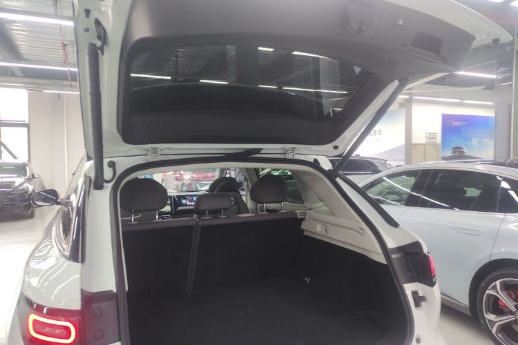 Used Leapmotor C11 2023 Pure Electric 500 Comfort Edition
