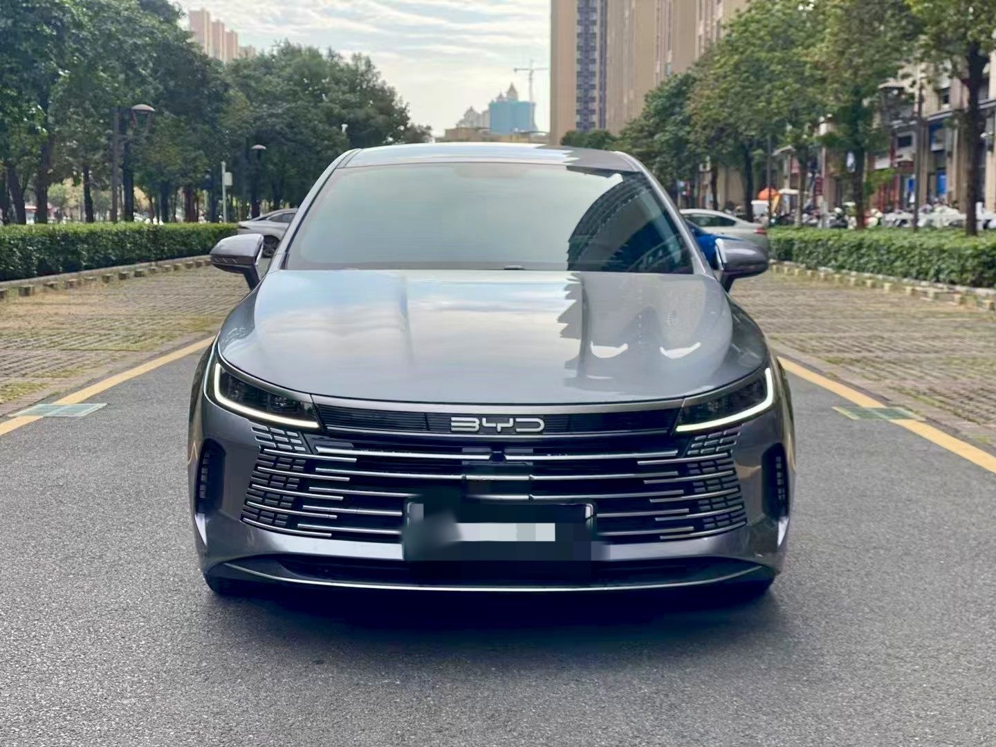 BYD Destroyer 05 2023 Champion Edition DM-i 55KM Luxury Model — снимка 16